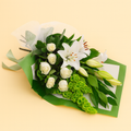 Elegance Premium