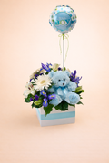 Its a boy
