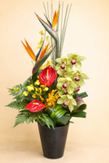 Tropical pot