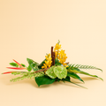 Botanica