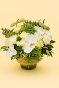 Floral arrangement with white and yellow flowers in a glass vase on a beige background