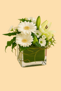 Square glass vase with a bouquet of white and green flowers on a beige background