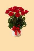 Bouquet of red roses with a red bow in a white vase on a beige background