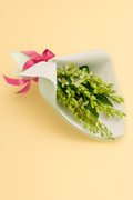 Bouquet of green flowers with a pink ribbon on a yellow background