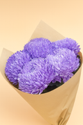 Bouquet of purple flowers wrapped in brown paper on a beige background